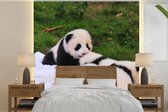 Behang - Fotobehang Panda's - Gras - Deken - Breedte 240 cm x hoogte 240 cm