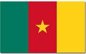 Vlag Kameroen 90 x 150 cm feestartikelen - Kameroen landen thema supporter/fan decoratie artikelen