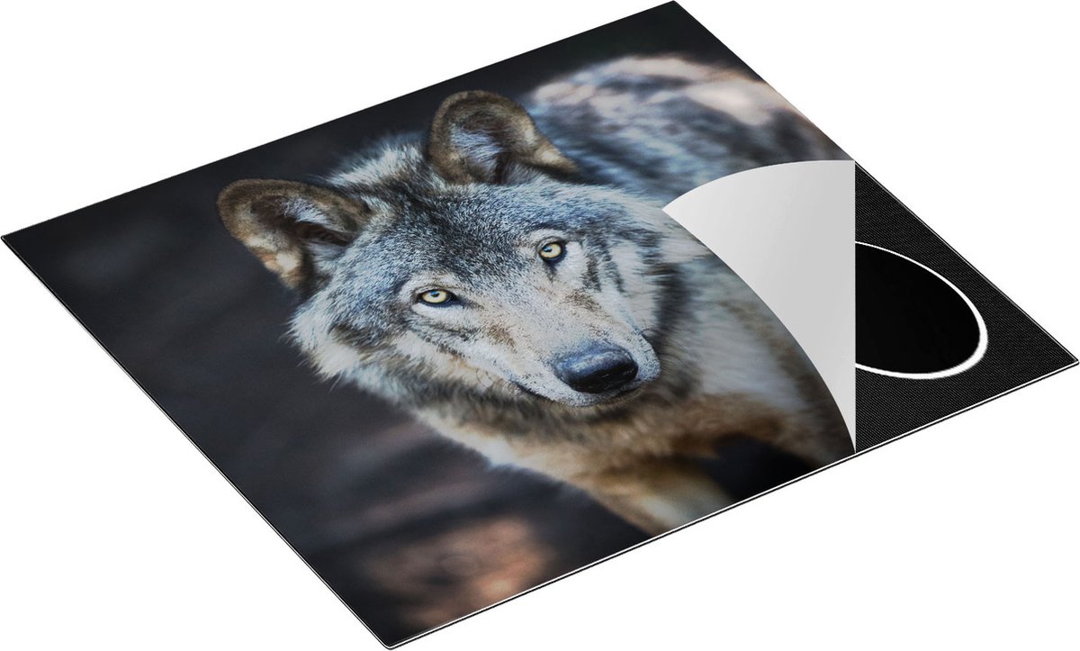 Chefcare Inductie Beschermer Wolvenkop - Grijze Wolf - 59x52 cm - Afdekplaat Inductie - Kookplaat Beschermer - Inductie Mat