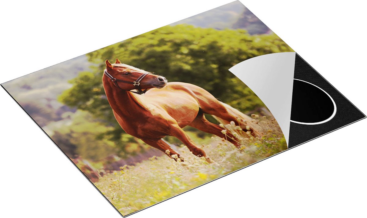 Chefcare Inductie Beschermer Bruin Paard in de Wei - 65x52 cm - Afdekplaat Inductie - Kookplaat Beschermer - Inductie Mat