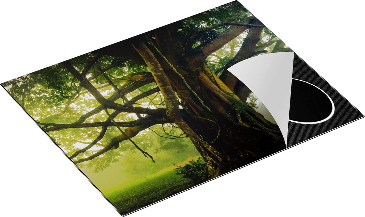 Chefcare Inductie Beschermer Grote Levensboom met Veel Takken - 65x55 cm - Afdekplaat Inductie - Kookplaat Beschermer - Inductie Mat