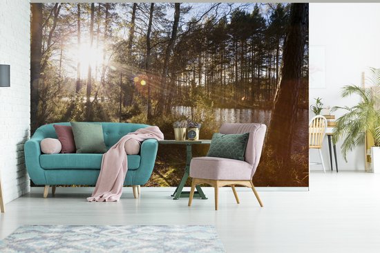 Papier peint photo vinyle - Les rayons du soleil brillent entre les arbres du parc national de Nuuksio en Finlande largeur 360 cm x hauteur 240 cm - Tirage photo sur papier peint (disponible en 7 tailles)