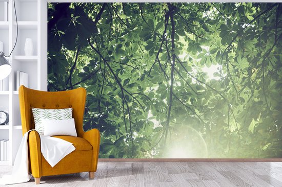 Papier peint Papier peint photo en vinyle - Branches au soleil largeur 360 cm x hauteur 240 cm - Tirage photo sur papier peint (disponible en 7 tailles)