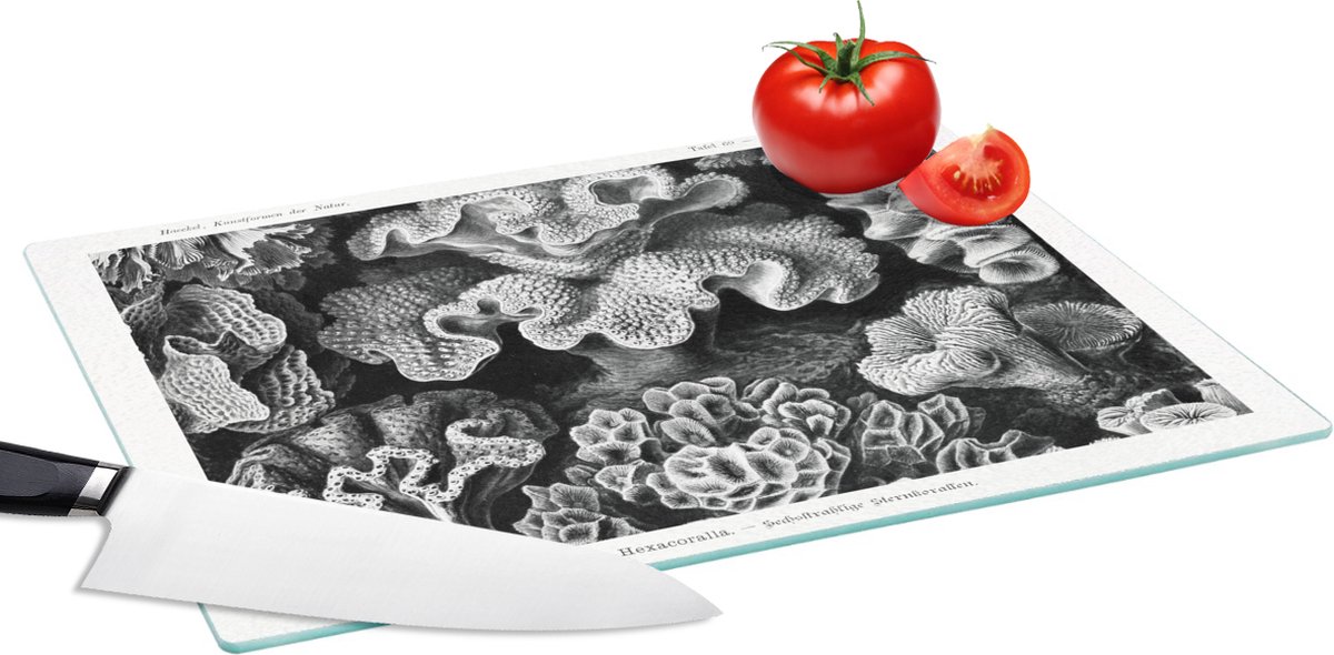 Glazen Snijplank - 39x28 - Kunst - Koraal - Ernst Haeckel - Oude meesters - Natuur - Snijplanken Glas