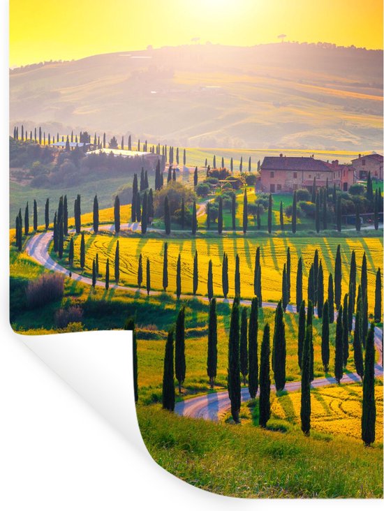 Stickers muraux - Film autocollant - Herbe - Soleil - Colline - Paysage - 90x120 cm - Film adhésif - Stickers muraux Chambre d'enfant - Papier peint autocollant - Papier peint autocollant - Film autocollant