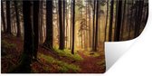 Stickers muraux - Film autocollant - Arbres - Nature - Forêt - 80x40 cm - Film adhésif - Stickers muraux Chambre d'enfant - Papier peint autocollant