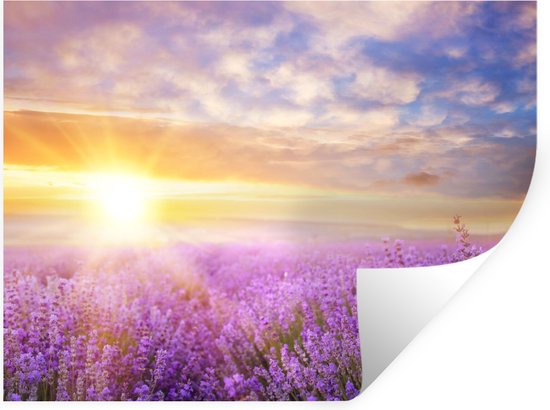 Kiwistar Adesivo Murale Fiori Lavanda - 96x61 Cm - 6 Dimensioni - Wall Sticker Rimovibile - 3