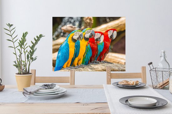 Stickers muraux - Vogels - Perroquet - Tropical - Nature - 80x60 cm - Feuille adhésive