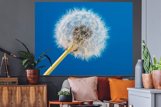 Stickers muraux - Film autocollant - Pissenlit - Bloem - Terrasse - 160x120 cm - Film adhésif - Stickers muraux Chambre d'enfant - Papier peint autocollant XXL