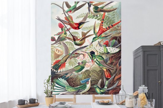 Stickers muraux - Feuille Autocollant - Colibri - Vintage - Ernst Haeckel - Vogel - Art - Nature - 120x160 cm - Feuille Adhésive - Stickers muraux Chambre Enfant - Papier Peint Auto Adhésif XXL