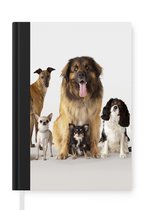 Notitieboek - Schrijfboek - Groepsportret van honden - Notitieboekje klein - A5 formaat - Schrijfblok