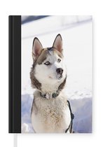 Notitieboek - Schrijfboek - Siberische husky in de sneeuw - Notitieboekje klein - A5 formaat - Schrijfblok