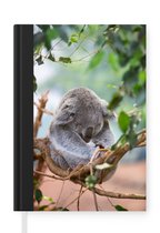 Notitieboek - Schrijfboek - Koala - Takken - Slapen - Kinderen - Jongens - Meiden - Notitieboekje klein - A5 formaat - Schrijfblok