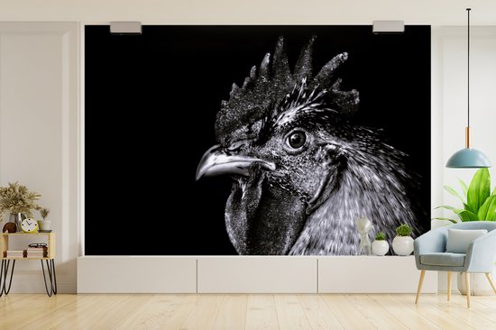 Papier peint - Papier peint Papier peint photo Coq - Vogel - Zwart - Wit - Largeur 600 cm x hauteur 400 cm