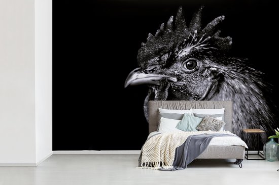 Papier peint - Papier peint Papier peint photo Coq - Vogel - Zwart - Wit - Largeur 600 cm x hauteur 400 cm