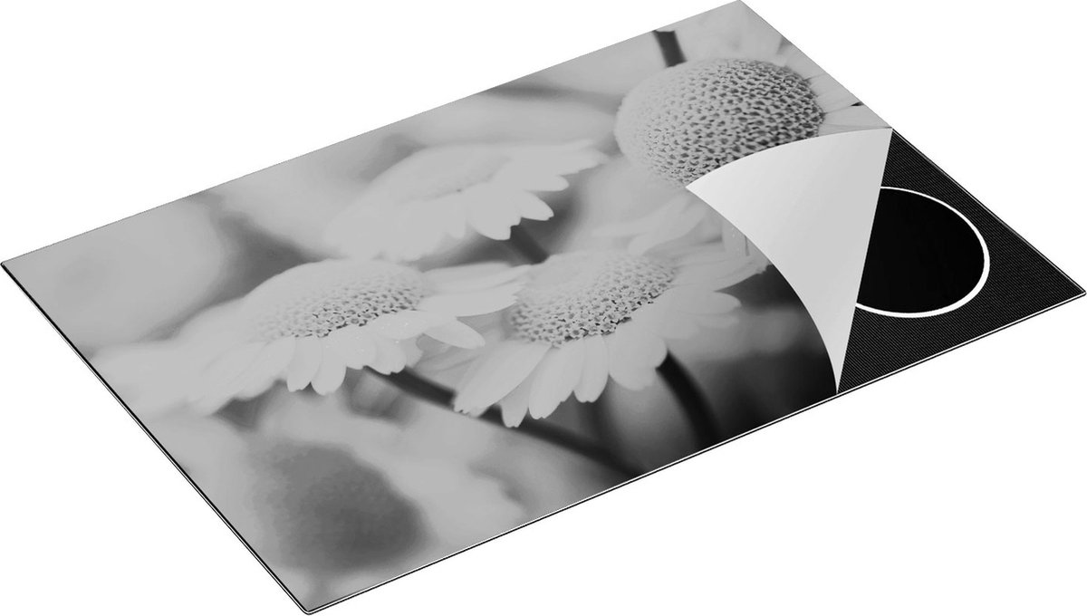 Chefcare Inductie Beschermer Gele Kamille Bloemen - Zwart Wit - 80x55 cm - Afdekplaat Inductie - Kookplaat Beschermer - Inductie Mat
