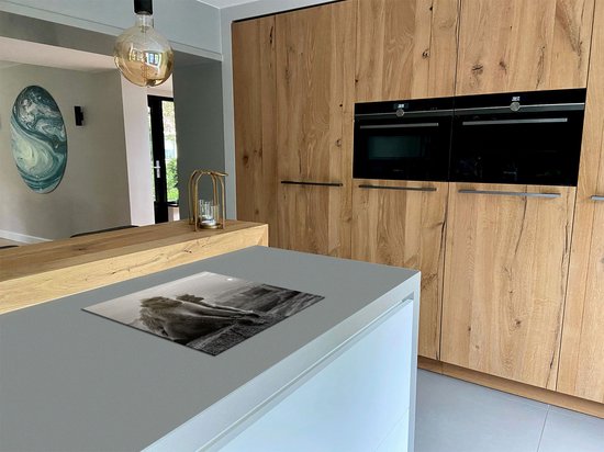 Chefcare Inductie Beschermer Twee Apen Bekijken de Zonsondergang - Zwart Wit - 59x52 cm - Afdekplaat Inductie - Kookplaat Beschermer - Inductie Mat