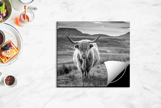 Chefcare Inductie Beschermer Schotse Hooglander in de Wei - Kleur - Zwart Wit - 60x52 cm - Afdekplaat Inductie - Kookplaat Beschermer - Inductie Mat