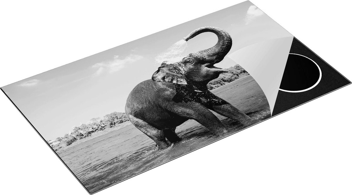 Chefcare Inductie Beschermer Vrolijke Olifant in het Water - Zwart Wit - 90x55 cm - Afdekplaat Inductie - Kookplaat Beschermer - Inductie Mat