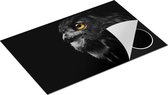 Chefcare Inductie Beschermer Zwarte Uil met Gouden Ogen - 81,2x52 cm - Afdekplaat Inductie - Kookplaat Beschermer - Inductie Mat