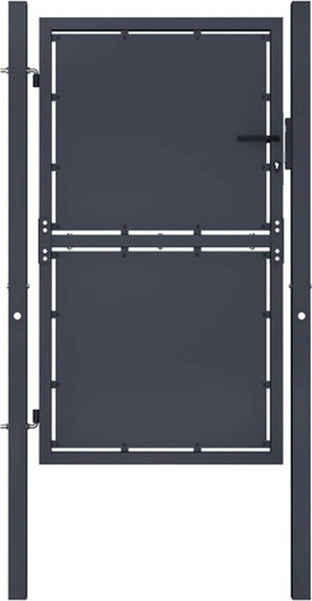 vidaXL - Tuinpoort - staal - 100x175 - cm - antraciet