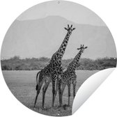 Tuincirkel Twee giraffes staan in veld in zwart-wit - 90x90 cm - Ronde Tuinposter - Buiten