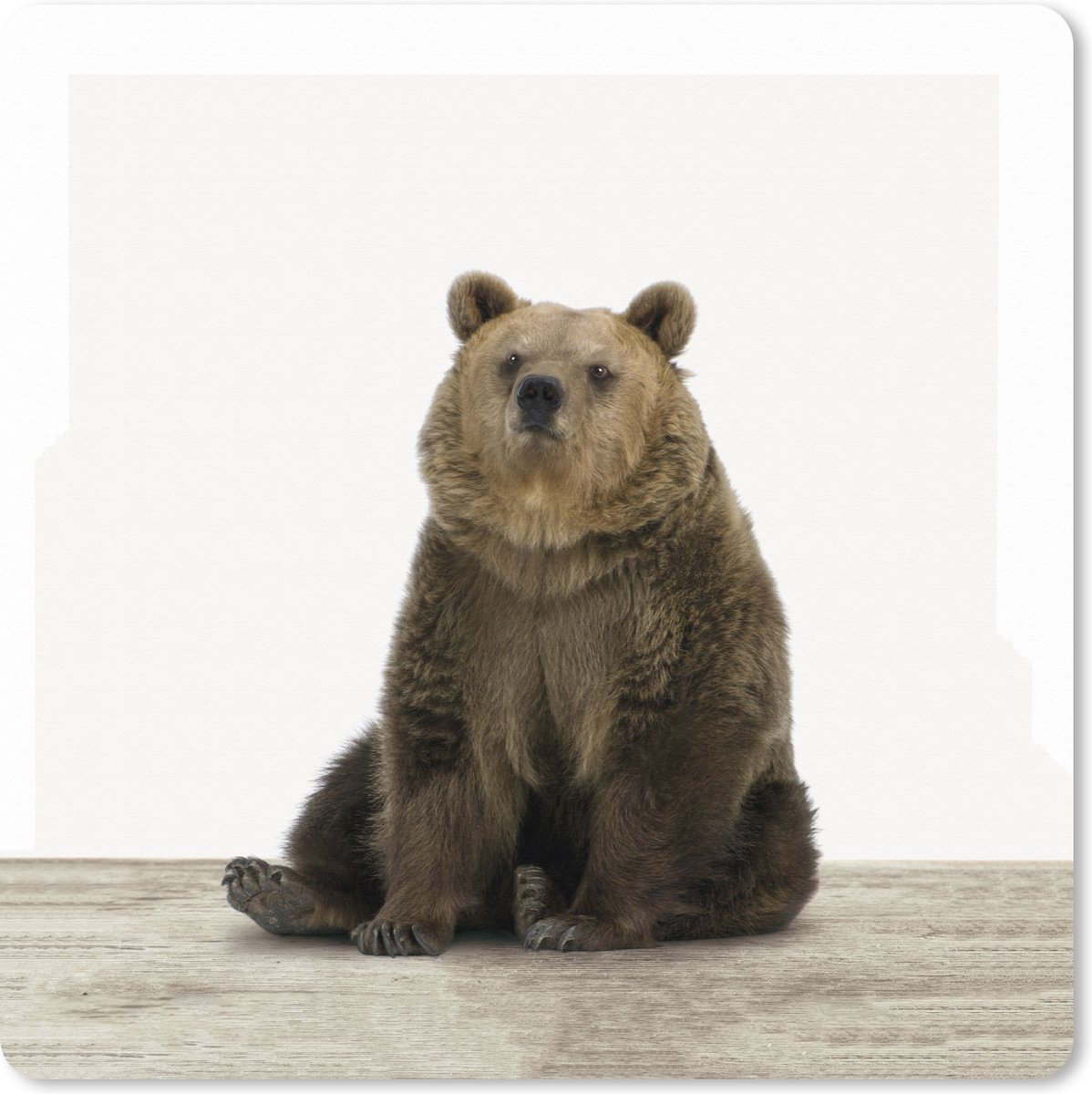 Muismat XXL 50x50 cm - Bureau onderlegger - Bureau mat Beer - Grizzly - Dieren - Bureaumat - Gaming mousepad xl - Bureaulegger groot - Computer deskmat