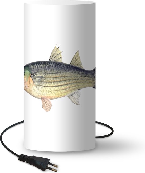 wond oase Heb geleerd Lamp Vissen - Goudharder vis op witte achtergrond lamp - 33 cm hoog - Ø16  cm -... | bol.com