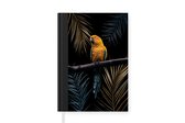 Carnet - Carnet d'écriture - Couleurs - Vogel - Perroquet - Carnet - Format A5 - Bloc-notes