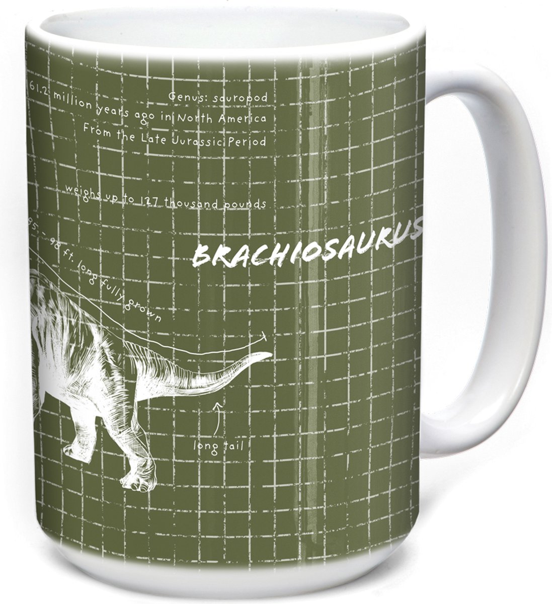 Mok Brachiosaurus Fact Sheet Green 440 ml
