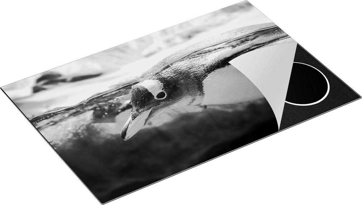 Chefcare Inductie Beschermer Pinguïn Zwemt onder Water - Zwart Wit - 81x52 cm - Afdekplaat Inductie - Kookplaat Beschermer - Inductie Mat