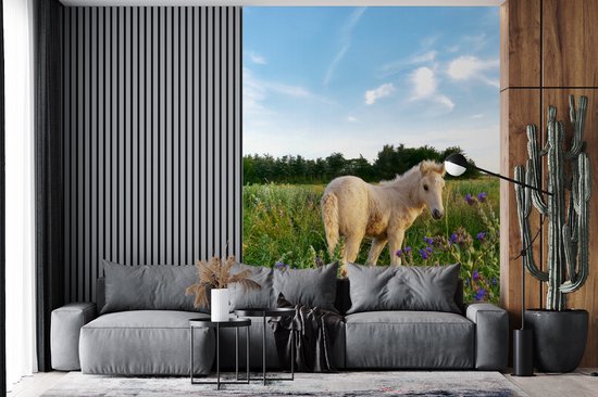 Poulain dans les hautes herbes 160x220 cm