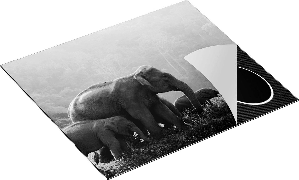 Chefcare Inductie Beschermer Olifanten Familie in de Jungle - Olifant - Zwart Wit - 59x51 cm - Afdekplaat Inductie - Kookplaat Beschermer - Inductie Mat