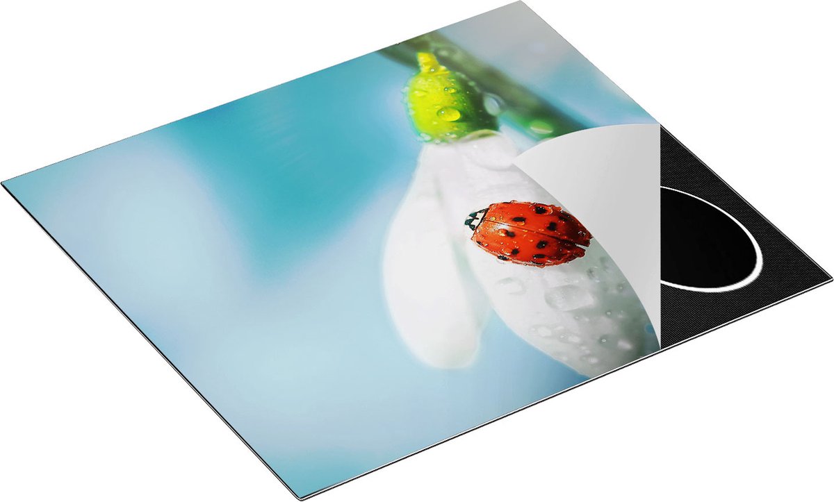 Chefcare Inductie Beschermer Lieveheersbeestje op een Sneeuwklokje Bloem - 60x55 cm - Afdekplaat Inductie - Kookplaat Beschermer - Inductie Mat