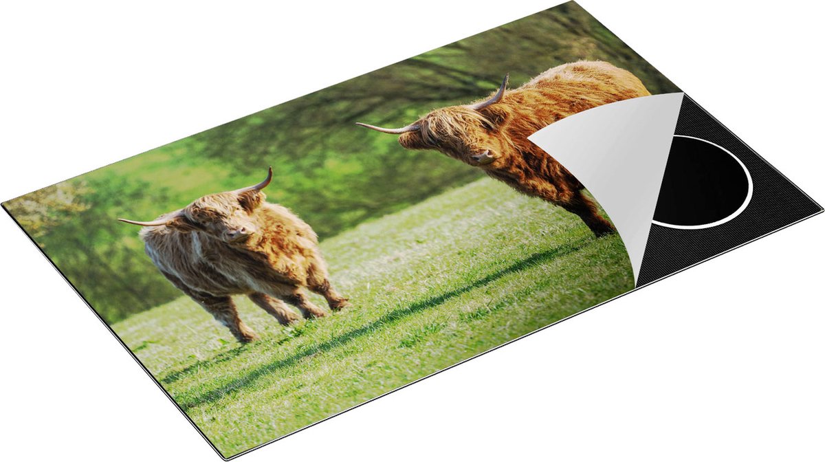 Chefcare Inductie Beschermer Twee Schotse Hooglanders op het Gras - 85x55 cm - Afdekplaat Inductie - Kookplaat Beschermer - Inductie Mat
