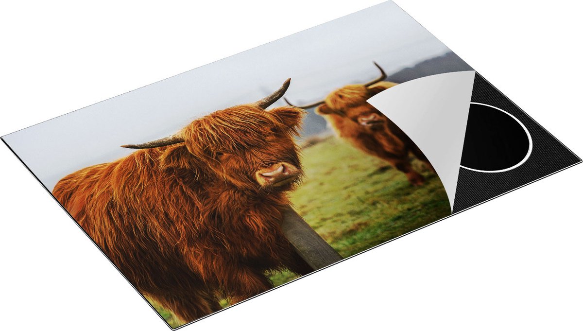 Chefcare Inductie Beschermer Twee Schotse Hooglanders in de Weide - 75x55 cm - Afdekplaat Inductie - Kookplaat Beschermer - Inductie Mat