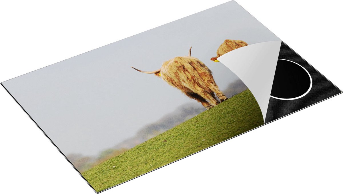 Chefcare Inductie Beschermer Twee Schotse Hooglanders Koeien Lopen Weg - 80x52 cm - Afdekplaat Inductie - Kookplaat Beschermer - Inductie Mat