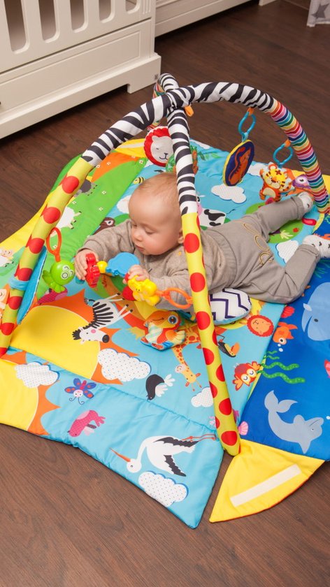 Lionelo Anika Plus 2-in-1 Babygym & Speelkleed – Met Verhoogde Randen (Boxfunctie) – Inclusief Tummy Time Kussen, Interactief Boekje & 5 Speeltjes – 115x110 cm