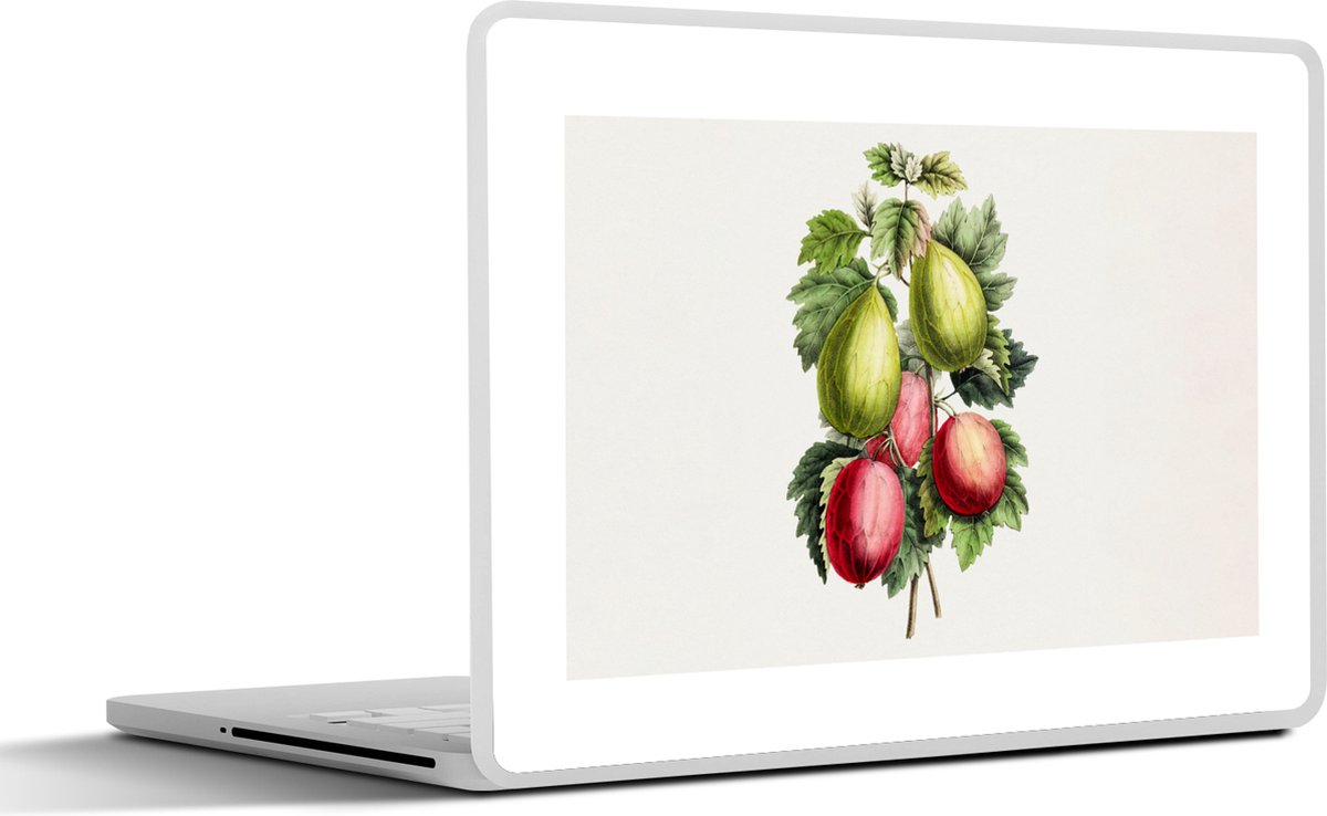Laptop sticker - 14 inch - Eten - Vijgen - Gezond - 32x5x23x5cm - Laptopstickers - Laptop skin - Cover
