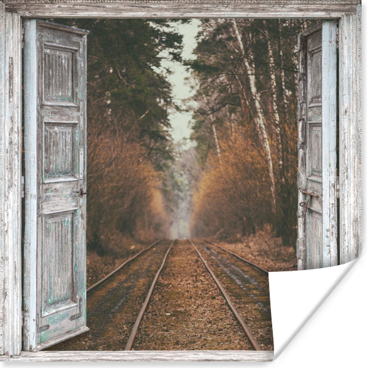 Poster Treinrails - Herfst - Doorkijk - Bos - 50x50 cm