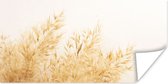 Poster Pampasgras - Zon - Gras - 40x20 cm