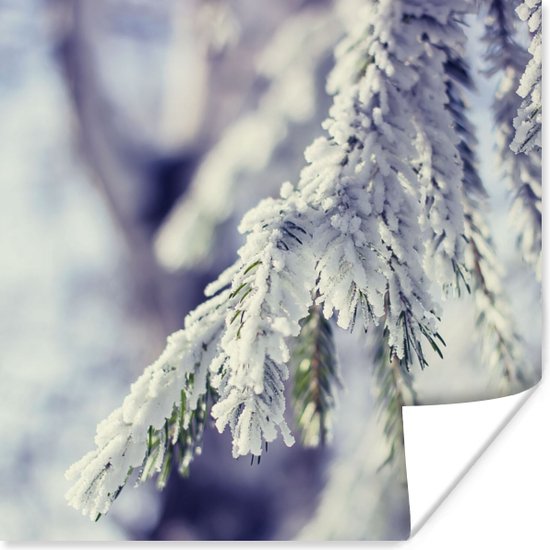 Poster Winter - Dennenboom - Sneeuw - Landelijk - 30x30 cm - Kerstmis Decoratie - Kerstversiering - Kerstdecoratie Woonkamer - Kerstversiering - Kerstdecoratie voor binnen - Kerstmis
