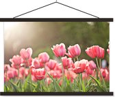 Porte-affiche avec affiche - Affiche scolaire - Tulipes - Soleil - Printemps - 60x40 cm - Lattes noires