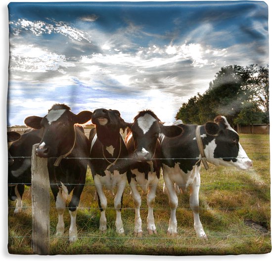 Housse de coussin 50x50 cm - Animaux - Vache - Vaches - Katoen / Polyester  - Pour... | bol.com