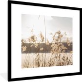 Cadre photo avec affiche - Water - Herbe de la pampa - Plantes - 40x40 cm - Cadre pour affiche