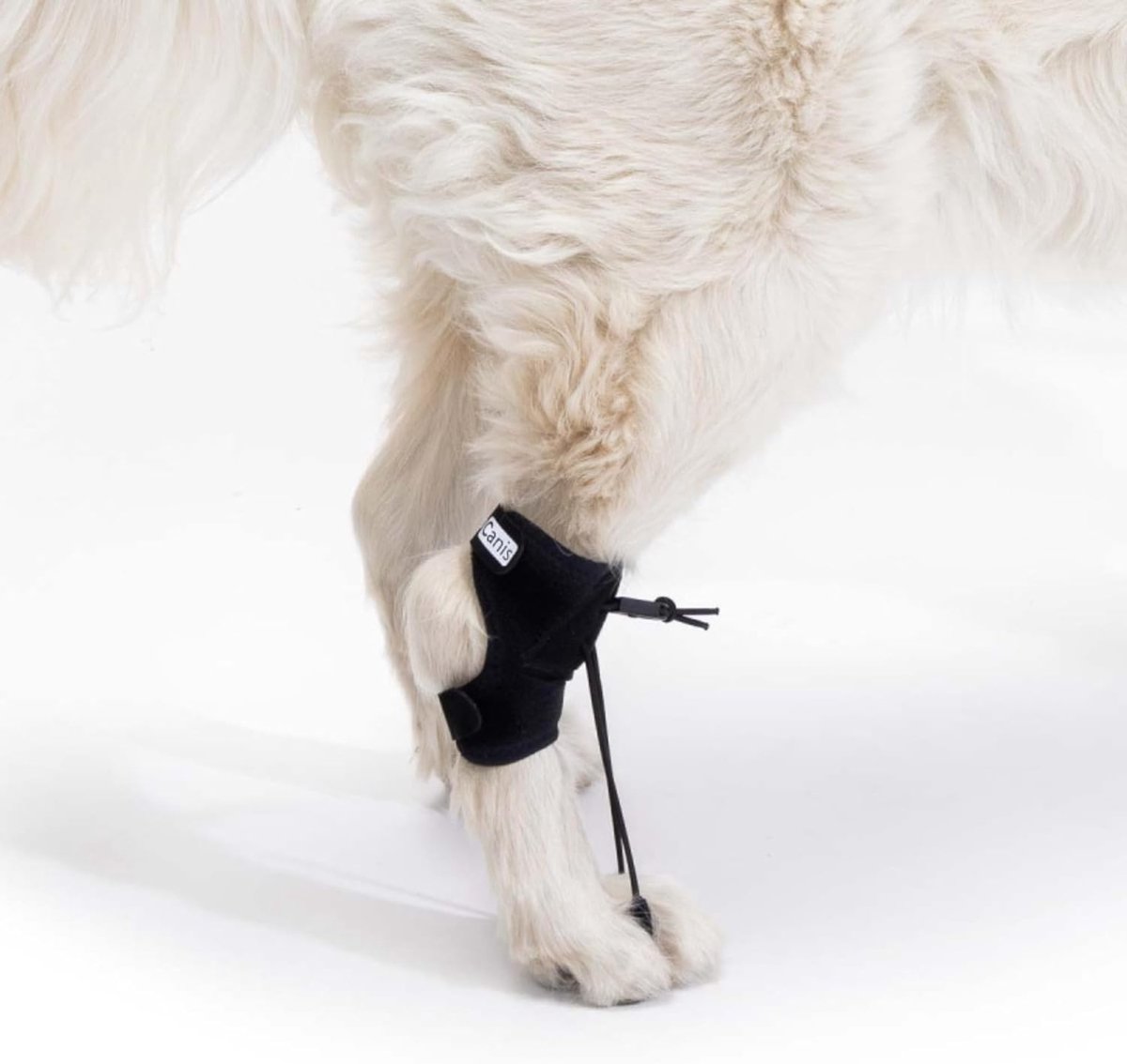 Honden Poten Corrector - Hulpmiddel Poten - Ondersteuning Poten - Verstelbaar Trekkoord - Maat M