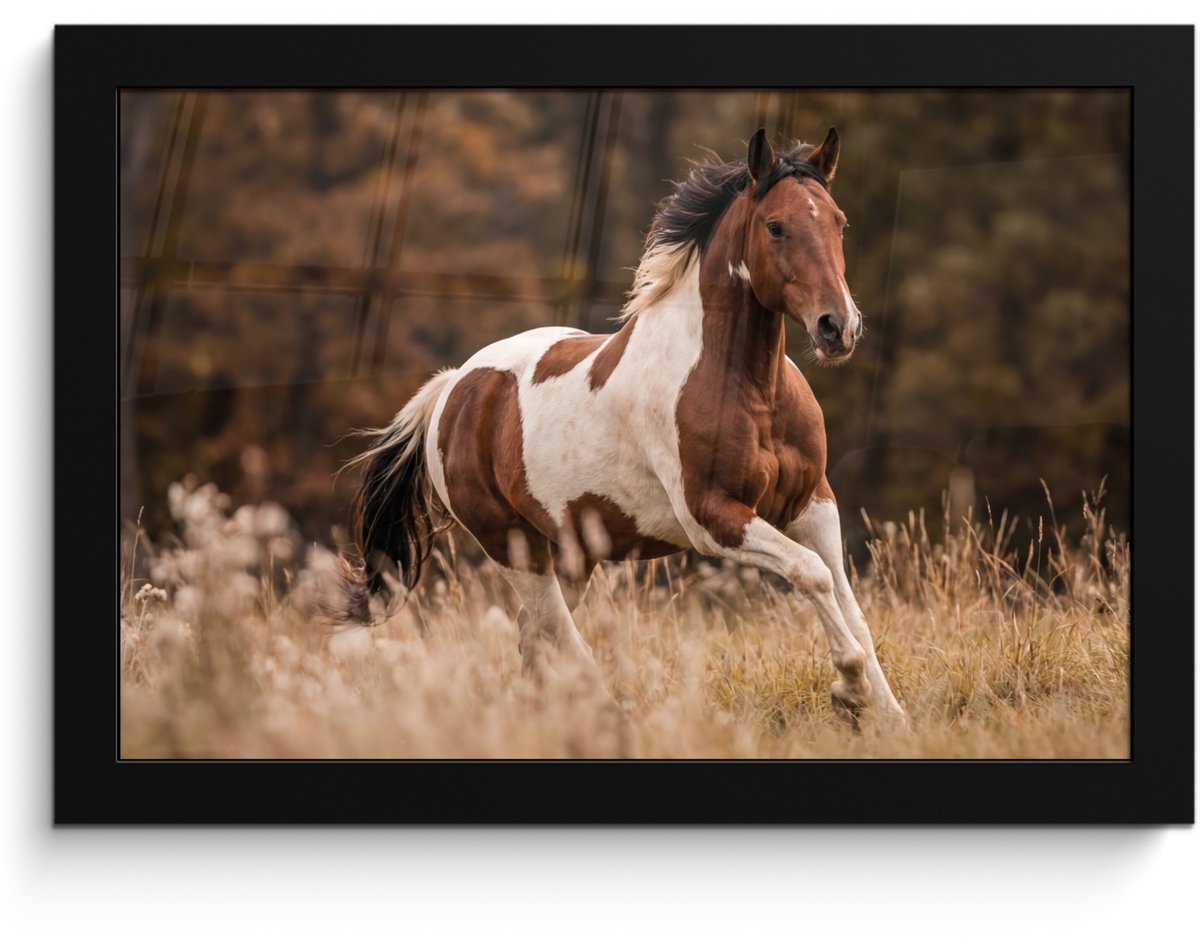 FrameYourWall Poster in lijst - Fotolijst 30x20 cm - Posters - Paard - Bruin - Gras - Posterlijst zwart - Decoratie - Wanddecoratie woonkamer - Muurdecoratie slaapkamer