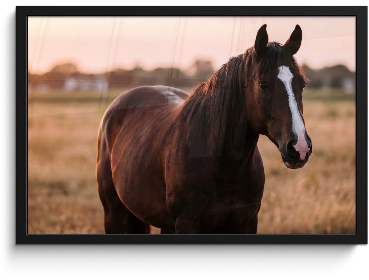 FrameYourWall Poster in lijst - Fotolijst 60x40 cm - Posters - Paard - Zonsondergang - Bruin - Posterlijst zwart - Decoratie - Wanddecoratie woonkamer - Muurdecoratie slaapkamer Multicolor