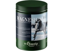 St. Hippolyt Magnesium B12 - 1 kg