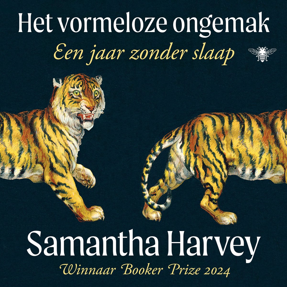 Omslag van Het vormeloze ongemak